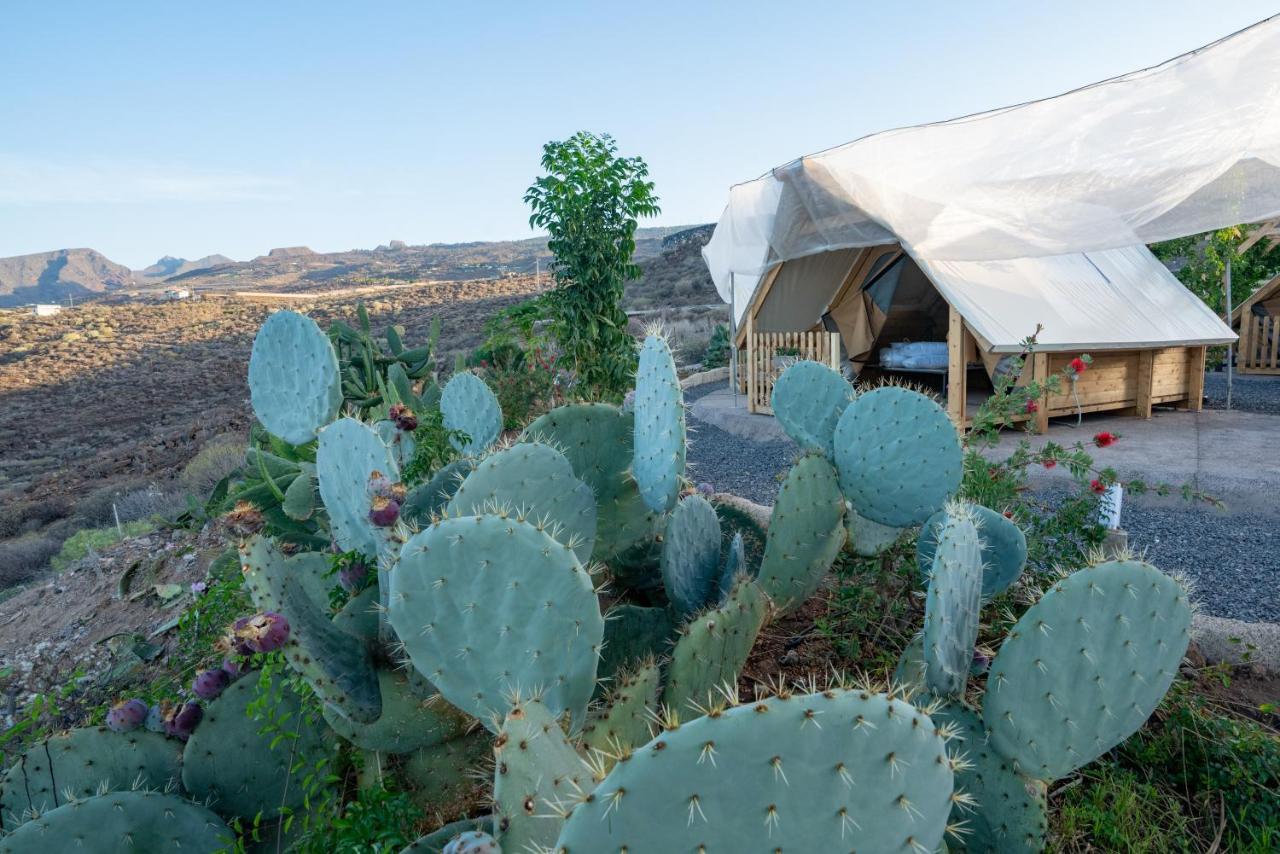 Finca Gaia La Segunda Casa de hóspedes Guía de Isora Exterior foto