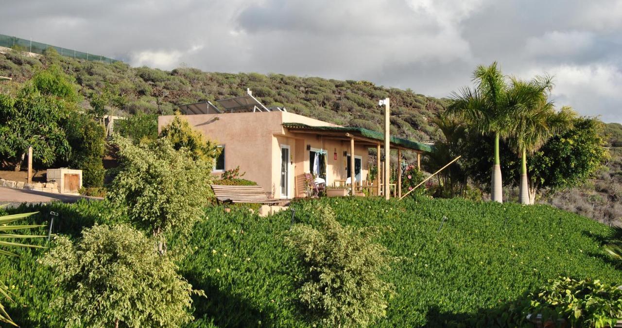 Finca Gaia La Segunda Casa de hóspedes Guía de Isora Exterior foto