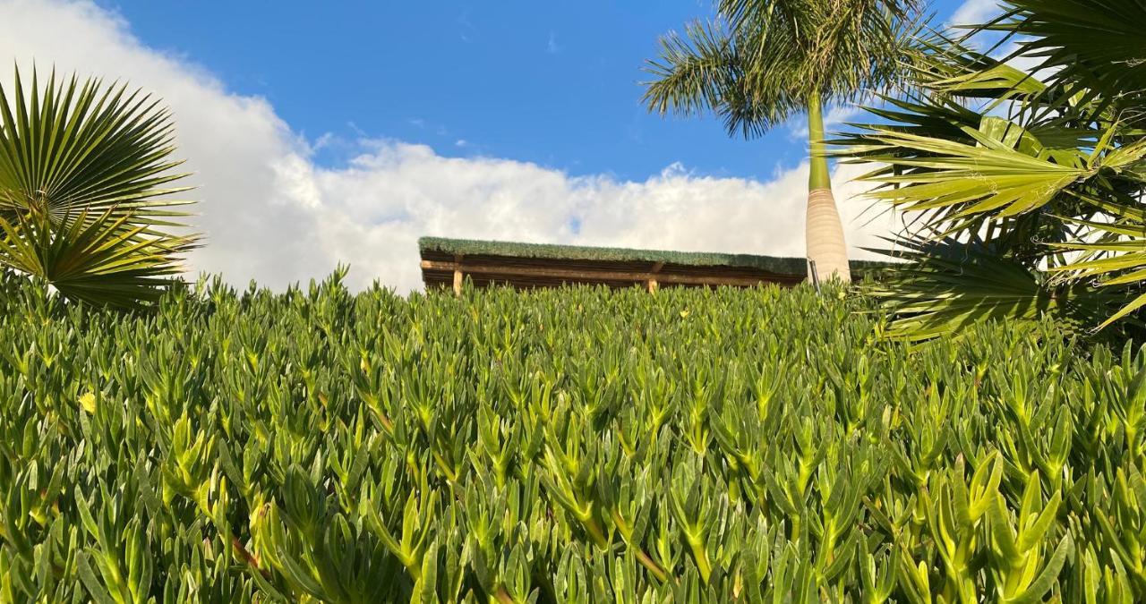 Finca Gaia La Segunda Guía de Isora Exterior foto